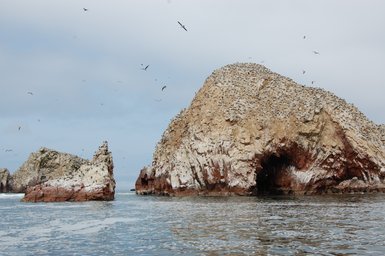 Die beeindruckenden Felsen der Ballestas-Inseln ragen majestätisch aus dem ruhigen Wasser, umgeben von schwirrenden Vögeln.