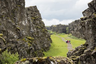 Eine Gruppe von Wanderern erkundet den malerischen Almannagjá-Spalt, umgeben von beeindruckenden, moosbedeckten Felsen.