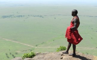Ein Maasai in traditioneller Kleidung steht auf einem Felsen und blickt über die weite, grüne Landschaft der Masai Mara.