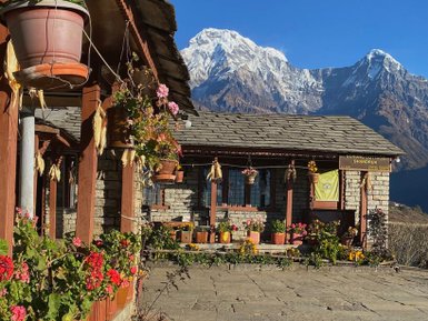 Eine malerische Berghütte in Ghandruk, umgeben von blühenden Pflanzen und majestätischen schneebedeckten Gipfeln im Hintergrund.