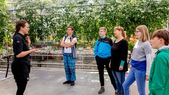 Eine Gruppe von fünf Personen hört aufmerksam einer Frau im Gewächshaus zu, während sie über Tomatenpflanzen spricht.