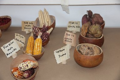 Frische mexikanische Lebensmittel – Mexiko mit Kindern