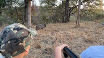Ein Kind sitzt im offenen Safari-Jeep und beobachtet Antilopen im Makutsi Game Reserve – Südafrika Reise mit Kindern