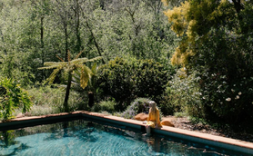 Eine Person mit langen, grauen Haaren sitzt am Rand eines klaren Pools, umgeben von üppigem Grün und bunten Pflanzen.