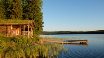 Ein malerisches Holzhaus mit einem begrünten Dach steht am Ufer eines ruhigen Sees, umgeben von hohen Bäumen und Gras.