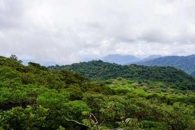 Wanderung im Nebelwald von Monteverde – Costa Rica Reise mit Kindern