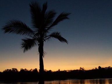 Ein Sonnenuntergang hinter einer Palme, während Kinder am Wasser spielen und die ruhige Atmosphäre genießen.
