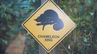 Ein gelbes Verkehrsschild mit der Aufschrift 'Chameleon Xing' und einer stilisierten Darstellung eines Chamäleons.