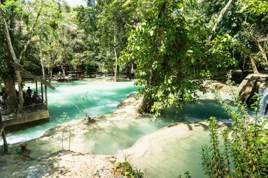 Ein ruhiger Fluss mit türkisfarbenem Wasser fließt durch eine grüne, bewaldete Landschaft, umgeben von Bäumen und Pflanzen.