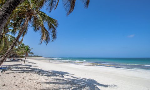 Ein ruhiger Strand mit feinem, weißem Sand und sanften Wellen, umgeben von Palmen unter einem strahlend blauen Himmel.