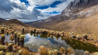 Der Blick im Los Nevados auf einen kleinen Teich im Fokus und den Fernblick in ein weites Tal