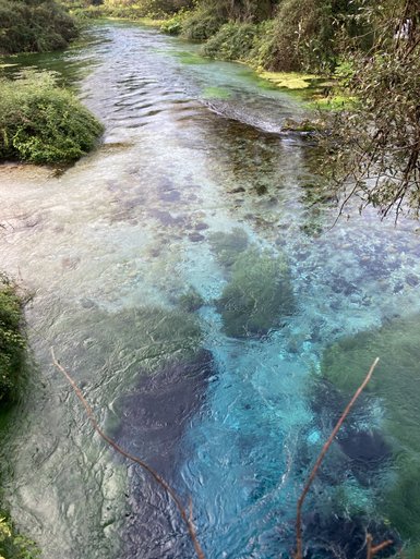 Ein klarer Fluss mit schimmerndem, blauem Wasser fließt durch eine grüne Landschaft, umgeben von üppiger Vegetation.