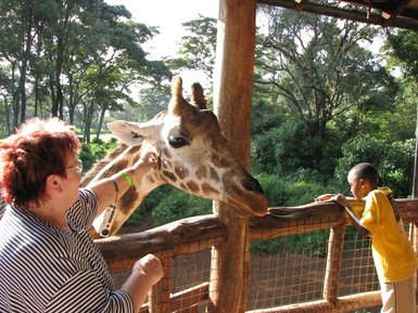 Eine Frau mit rotem Haar streichelt eine Giraffe, während ein Junge in einem gelben T-Shirt fasziniert zuschaut.