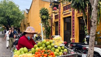 Bunter Obststand auf dem Markt in Hoi An – Vietnam Familienreise