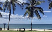 Gartenanlage mit Palmen - Vietnam for family Summer - Vietnam mit Kindern im Sommer