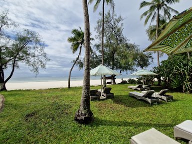 Ein ruhiger Strandbereich mit Liegen und Sonnenschirmen, umgeben von Palmen und grünem Gras, unter einem bewölkten Himmel.