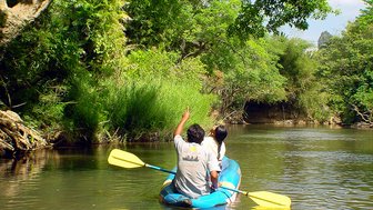 Zwei Personen im Kajak paddeln auf einem ruhigen Fluss, umgeben von üppigem, grünem Dschungel und strahlendem Sonnenlicht.