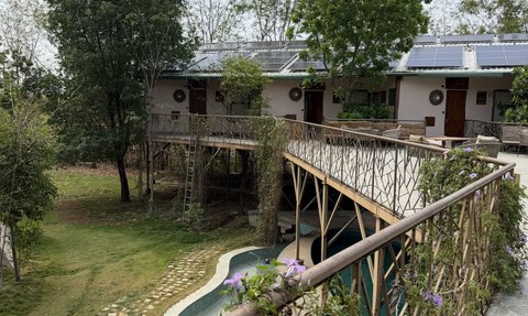 Ein Blick auf ein modernes Campzimmer im Dschungel, umgeben von üppigem Grün und einem kleinen Pool.