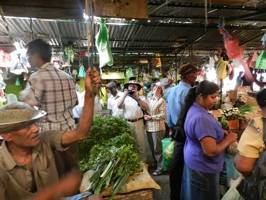 Bunter Markt mit frischem Obst, Gemüse und Gewürzen in lebendiger Atmosphäre – Sri Lanka Familienreise