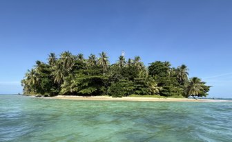 Tropische Insel mit üppiger Vegetation, umgeben von klarem, grünem Wasser unter einem strahlend blauen Himmel.