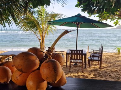 Frische Kokosnüsse auf einem Tisch mit Ausblick auf den tropischen Strand – Sri Lanka Familienreise