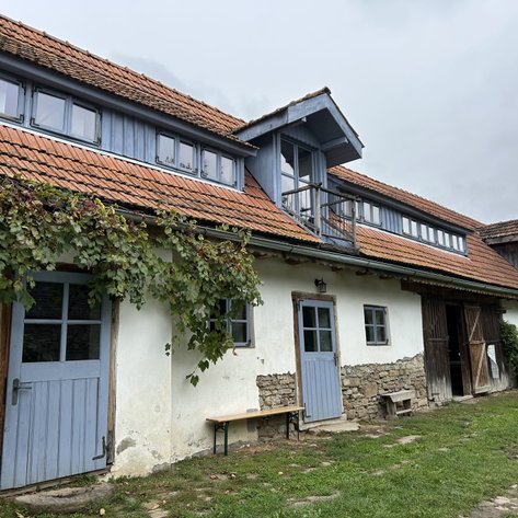 Ein charmantes, ländliches Gebäude mit blauen Fenstern und einer Holztür, umgeben von üppigem Weinlaub.