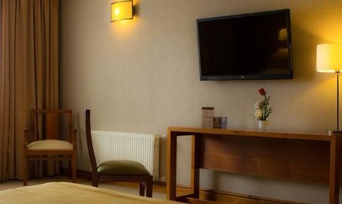 Ein gemütliches Hotelzimmer mit einem Holzschreibtisch, einem Fernseher und einer kleinen Blumenvase auf dem Tisch.