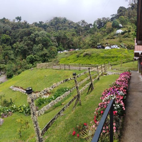 Eine malerische Aussicht auf grüne Hügel, umgeben von üppiger Vegetation und bunten Blumenbeeten in einem ruhigen Resort.