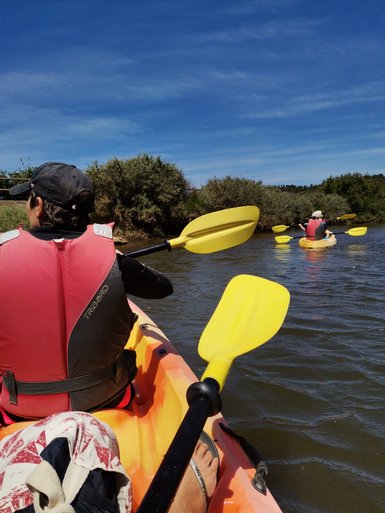 Zwei Kajakfahrer paddeln auf einem ruhigen Gewässer, umgeben von üppigem Grün und unter einem strahlend blauen Himmel.