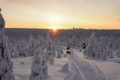 Zwei Schneemobile fahren durch eine verschneite Winterlandschaft, während die Sonne hinter den Bäumen aufgeht.