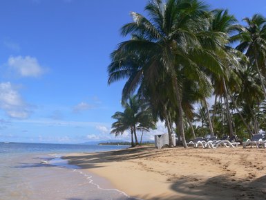 Ein sonniger Strand in der Dominikanischen Republik, umgeben von hohen Palmen und einem klaren blauen Himmel.