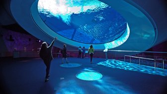 Eine Person zeigt begeistert auf das große, runde Aquarium, während andere Besucher im Hintergrund stehen und das Wasser beobachten.