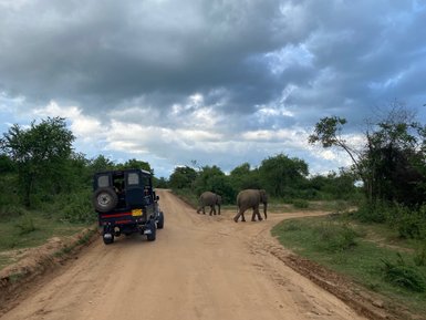 Elefantenherde läuft direkt am Jeep im Udawalawe Nationalpark vorbei – Sri Lanka Reise mit Kindern