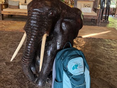 Dekorative Elefantenfigur in der Gartenanlage der Arumeru River Lodge – Tansania Familienreise