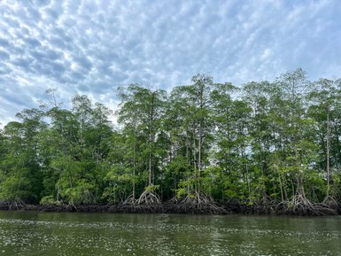 Boot gleitet durch die unberührte Natur der Drake Bay in Costa Rica – Costa Rica Reise mit Kindern