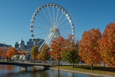 Ein großes Riesenrad erhebt sich über einen malerischen Park mit bunten Herbstbäumen und klarem blauen Himmel.