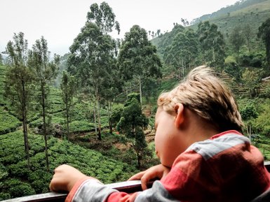 Kleinkind blickt aus dem Zugfenster auf die Teeplantagen im Hochland – Sri Lanka Reise mit Kindern