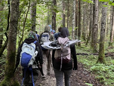 Eine Gruppe von Wanderern geht auf einem schmalen Pfad durch einen dichten, grünen Wald mit hohen Bäumen.