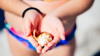 Ein Kind hält eine Muschel in den Händen, während es am Strand steht, umgeben von Sonnenlicht und Sand.
