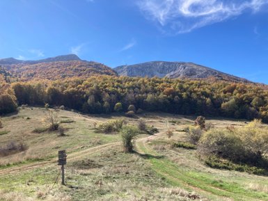 Die herbstlichen Farben der Bäume umrahmen die sanften Hügel des Nationalparks Galicica unter einem strahlend blauen Himmel.