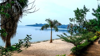 Ein ruhiger Strand am Victoriasee, umgeben von Palmen und üppigem Grün, lädt zum Entspannen ein.