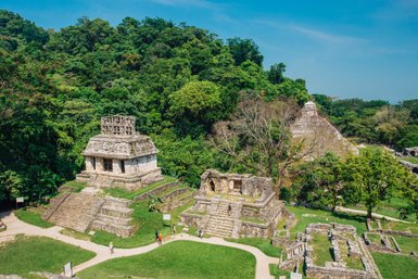 Blick von oben auf den Tempel der Inschriften in Palenque – Mexiko Reise mit Kindern