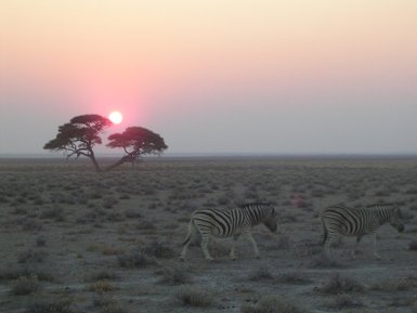 Die Sonne verschwindet am Horizont der Savanne - Namibia mit Kindern