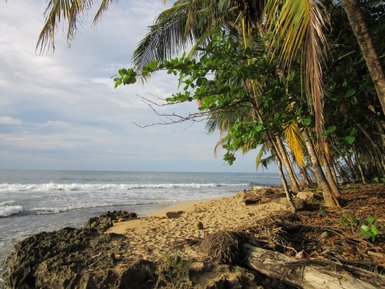 Tropische Palmen, markante Felsen und Sandstrand an der Karibikküste bei Puerto Viejo – Costa Rica Reise mit Kindern