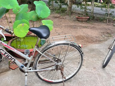 Ein Fahrrad steht neben einem großen Topf mit Lotusblättern, umgeben von üppigem Grün und Palmen im Hintergrund.