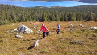 Zwei Wanderer mit Hunden erkunden eine grüne, hügelige Landschaft mit einem klaren blauen See im Hintergrund.