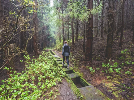 Eine Person wandert auf einem moosbedeckten Steinweg durch einen dichten, grünen Wald auf Faial Island.