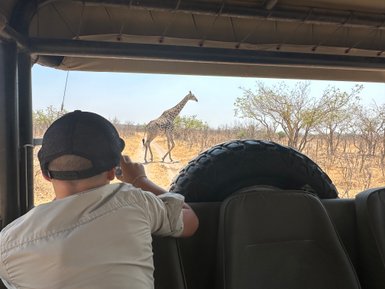 Ein Junge sitzt in einem Jeep und beobachtet eine Giraffe, die gemächlich über die Savanne geht, umgeben von trockener Vegetation.