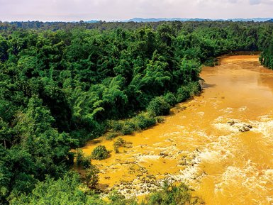 Ein breiter, brauner Fluss schlängelt sich durch üppiges, grünes Dschungelgebiet, umgeben von hohen Bäumen und Pflanzen.