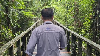 Erkundungen mit einem Guide im Regenwald in Sepilok - Malaysia Famiilienreise